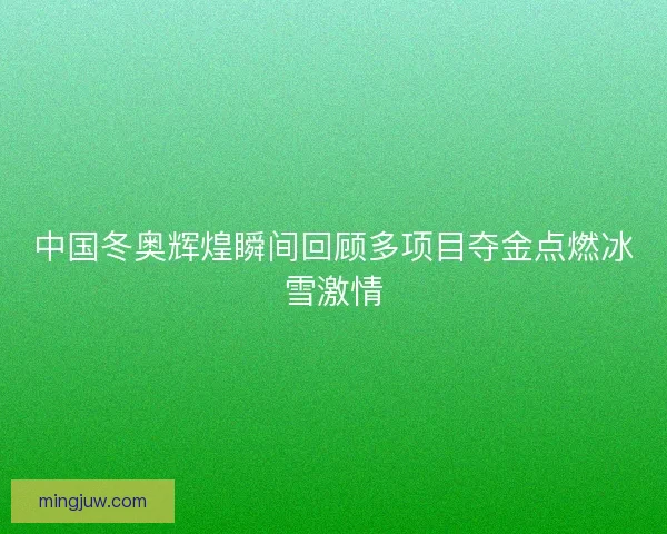中国冬奥辉煌瞬间回顾多项目夺金点燃冰雪激情