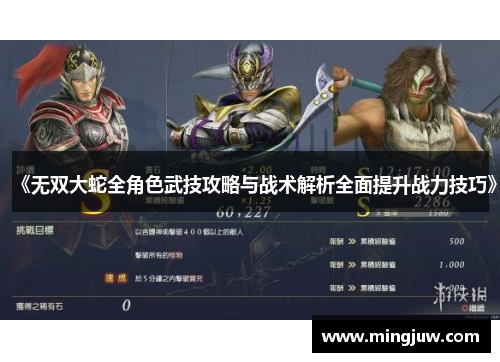 《无双大蛇全角色武技攻略与战术解析全面提升战力技巧》