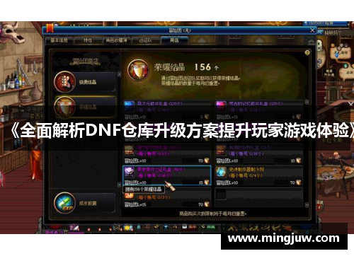 《全面解析DNF仓库升级方案提升玩家游戏体验》