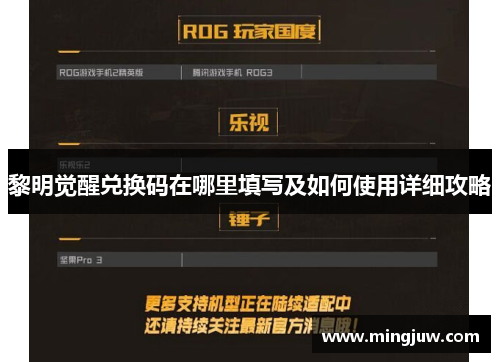 黎明觉醒兑换码在哪里填写及如何使用详细攻略